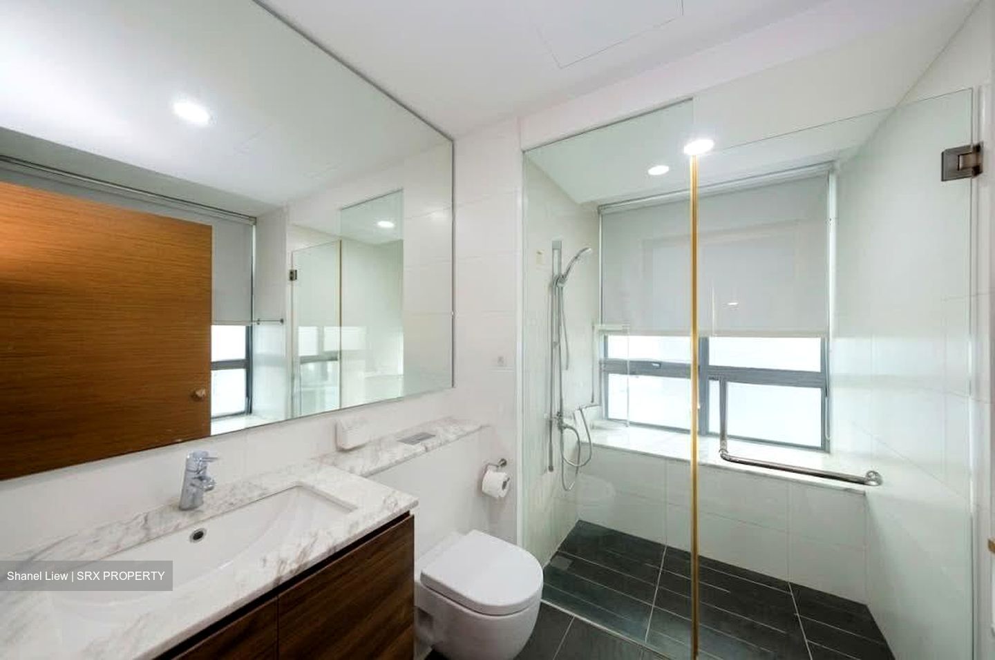 Double Bay Residences (D18), Condominium #547180141